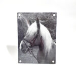 horse-enamel-sign-paard-emaille-duurzaam-foto-zwart-wit